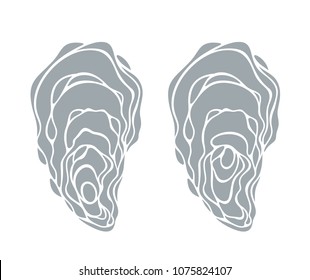 Oyster set. Isolated oyster  on white background

