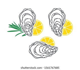 Oyster set. Isolated oyster  on white background