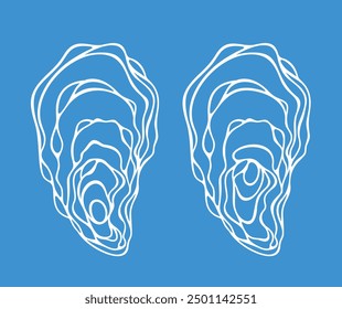 Oyster set. Isolated oyster  on white background