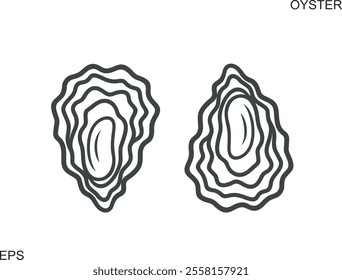 Oyster set. Isolated oyster  on white background