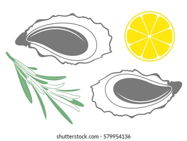 Oyster set. Isolated oyster on white background