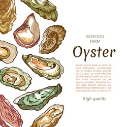 Oyster Shell Banner, Seafood Farm Banner Template. Commercial Facility Raising Oysters For Human Food. Vector Illustration On White Background With Copy Space For Text
