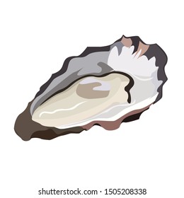 Oyster in shell icon isolated on white background, fresh seafood, healthy food, vector illustration
