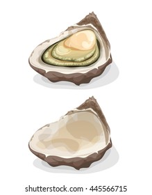 Oyster Shell/
Illustration of a cartoon appetizing fresh and raw oyster shell, full and empty