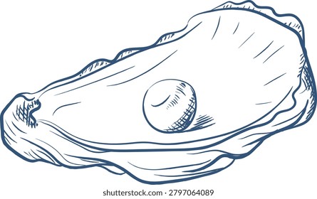 Oyster shell open with a single pearl, detailed hatching and clean linework. Symbol of luxury, rarity, treasure, wealth, and purity. Cartoon vector illustration.