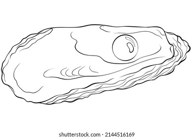 Cubierta de ostras con perla. Ilustración de línea dibujada a mano vectorial aislada en blanco. Elemento de diseño de mariscos o menú, decoración, etiqueta. Adecuado para colorear la página del libro. Esbozar ilustración de cierre