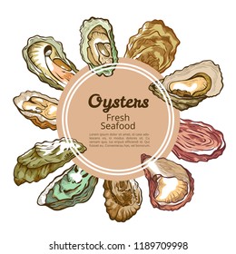 Oyster shell round banner with copy space. Shellfish product, seafood restaurants specialize in fish and shellfish decor. Vector hand drawn illustration oyster food isolated on white background