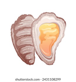 Oyster shell vector. Seafood isolated illustration, Oyster sea food. Cartoon shellfish icon. Seashell mussel vintage vector. Raw clam art. Fresh scallop seafood. Ocean half shell restaurant dinner