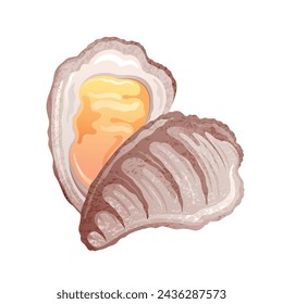 Oyster shell vector. Seafood isolated illustration, Oyster sea food. Cartoon shellfish icon. Seashell mussel vintage vector. Raw clam art. Fresh scallop seafood. Ocean half shell restaurant dinner
