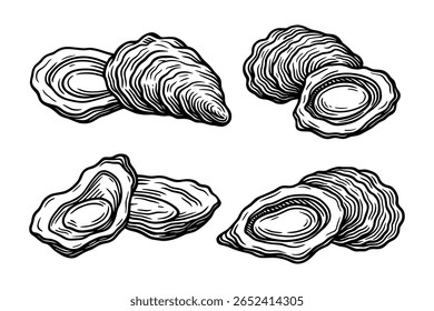 Oyster Shells Collection, Seafood, Marine Life, Black and White, Isolated Art