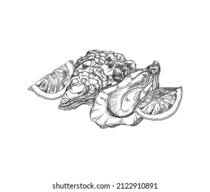 Oyster shells with mollusk and slices of lemon, hand drawn engraving style vector illustration isolated on white background. Oyster mollusk seafood product.