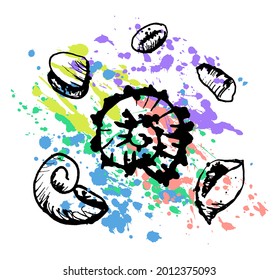 Oyster Shells, Snails are Drawn on an abstract colorful Background with Splashes and Drops. The concept of Underwater life, Wildlife, Shells, Exotic, Sandy Beach, Summer. Vector illustration. 
