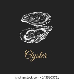 Oyster sketch vector illustration. oyster shell. Oysters on a black background