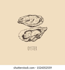 Oyster sketch vector illustration. oyster shell