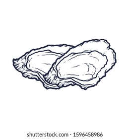 Oyster sketch vector illustration. oyster shell