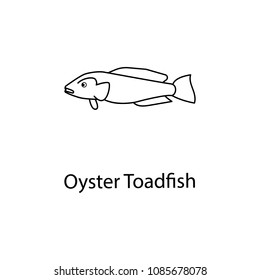 oyster toadfish icon. Element of marine life for mobile concept and web apps. Thin line oyster toadfish icon can be used for web and mobile. Premium icon on white background