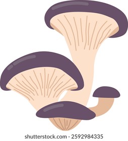 Oyster tree grown mushroom vector illustration