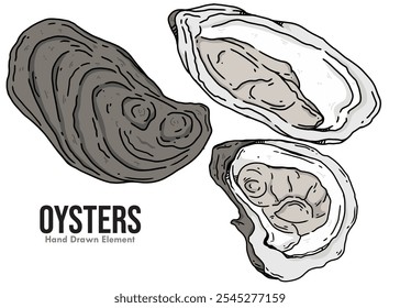 Projeto de vetor de ostra com várias formas. Fundo branco. Adequado para design de menu de alimentos, enfeites de embalagem e outros