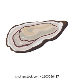 Oyster vector icon.Cartoon vector icon isolated on white background oyster.