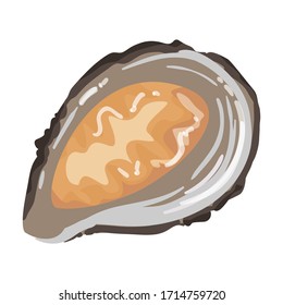 Oyster vector icon.Cartoon vector icon isolated on white background oyster.