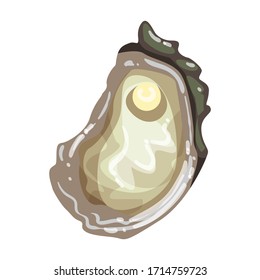 Oyster vector icon.Cartoon vector icon isolated on white background oyster.