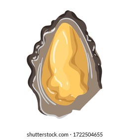 Oyster vector icon.Cartoon vector icon isolated on white background oyster.