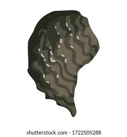 Oyster vector icon.Cartoon vector icon isolated on white background oyster.