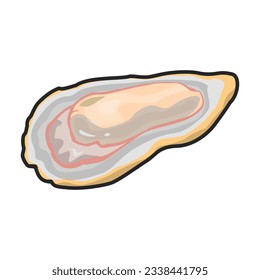 Oyster vector icon.Color vector icon isolated on white background oyster.