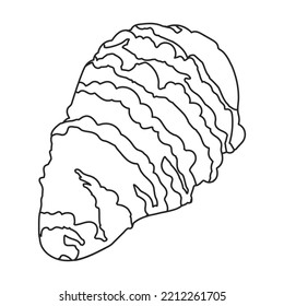 Oyster vector icon.Outline vector icon isolated on white background oyster.