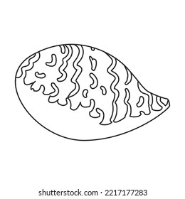 Oyster vector icon.Outline vector icon isolated on white background oyster.