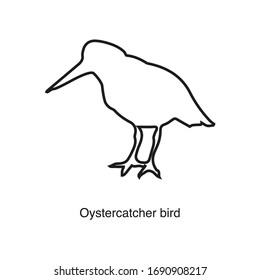 Oystercatcher icon vector on white background. Black icon illustration