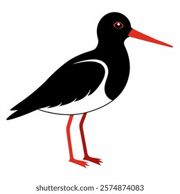 oystercatcher silhouette vector icon on white background