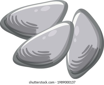 Oysters or clams in cartoon style on white background illustration