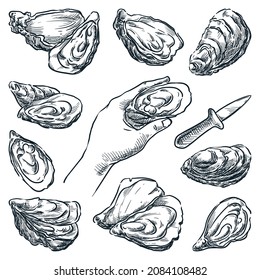Oysters collection isolated white background  Oyster knife   human hand holding open mussel  Hand drawn vector sketch illustration  Restaurant menu seafood market design elements