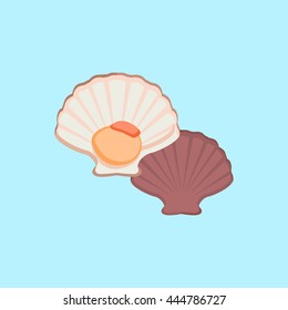 Oysters in colour variant. Seafood concept icons in flat style design. Vector illustration fresh deep-sea oyster. Beautiful shell pearl mussels.