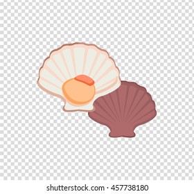 Oysters in colour variant. Seafood concept icons in flat style design. Vector illustration fresh deep-sea oyster. Beautiful shell pearl mussels.