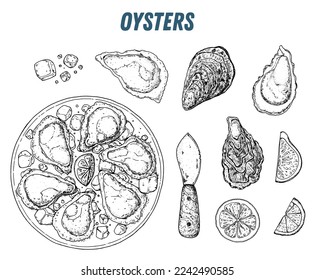 Oysters and oysters dish with lemon and ice sketch. Hand drawn collection, vector illustration. Top view. Design template. Food menu.