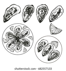 Oysters and dishes from oysters in vector set