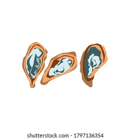 Oysters fresh delicacy seafood. Delicious marine creatures. Organic natural healthy nutritious vegetarian food cartoon vector illustration isolated on white background