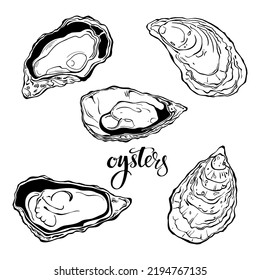 Oysters, hand drawn vector set of templates for menu design, packaging, restaurants and catering. Hand drawn images. 