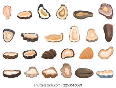Oysters icons set cartoon vector. Seafood shell. Fresh raw