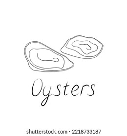 Oysters illustration and hand-written inscription. Vector logo