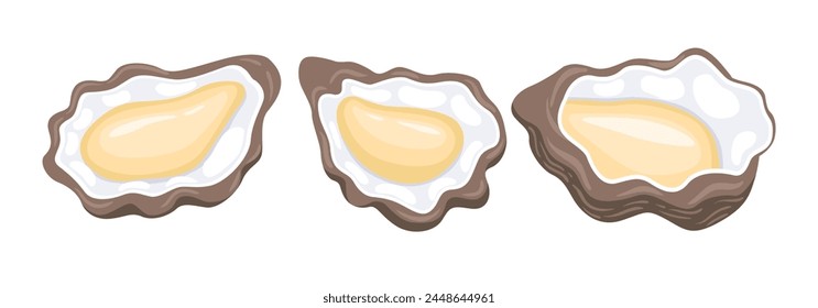 Oysters illustration vector bundle. Oysters vector cartoon set icon. Vector illustration icon Oysters on white background. Oysters illustration vector bundle