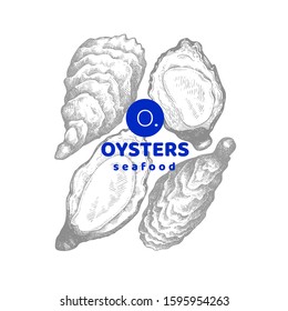 Oysters illustrations. Hand drawn vector seafood illustration. Engraved style mollusks. Retro food image