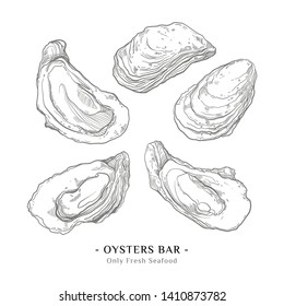 Oysters ink sketch. Isolated on white background. Hand drawn vector illustration.