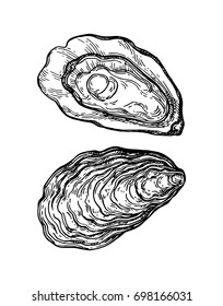 Oysters ink sketch. Isolated on white background. Hand drawn vector illustration. Retro style.