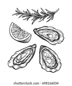 Oysters ink sketch. Isolated on white background. Hand drawn vector illustration. Retro style.