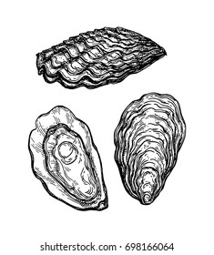 Oysters ink sketch. Isolated on white background. Hand drawn vector illustration. Retro style.