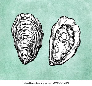 Oysters ink sketch on old paper background. Hand drawn vector illustration. Retro style.