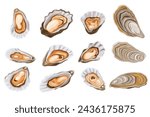 Oysters isolated on black background. Trendy healthy food. Oysters. Print. Banner, label, poster, sticker, logo, vector illustration.